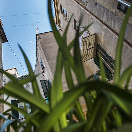 Obelus Bed and Breakfast Ρώμη Εξωτερικό φωτογραφία