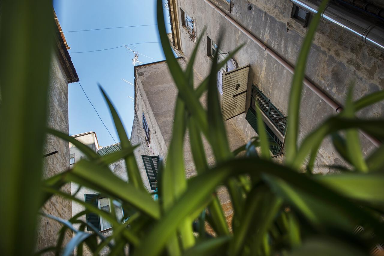 Obelus Bed and Breakfast Ρώμη Εξωτερικό φωτογραφία